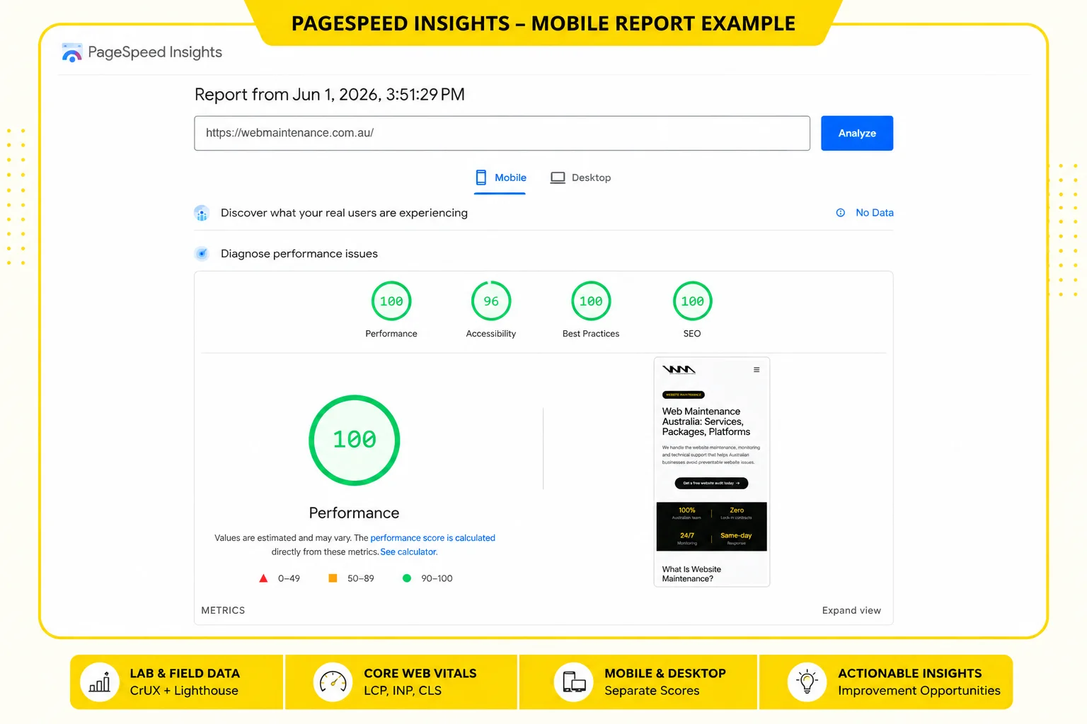 PageSpeed Insights mobile website speed report showing performance score, Core Web Vitals and mobile speed results